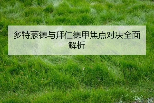 多特蒙德与拜仁德甲焦点对决全面解析